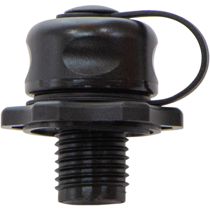 Mini Boston 2018 Valve Cap only