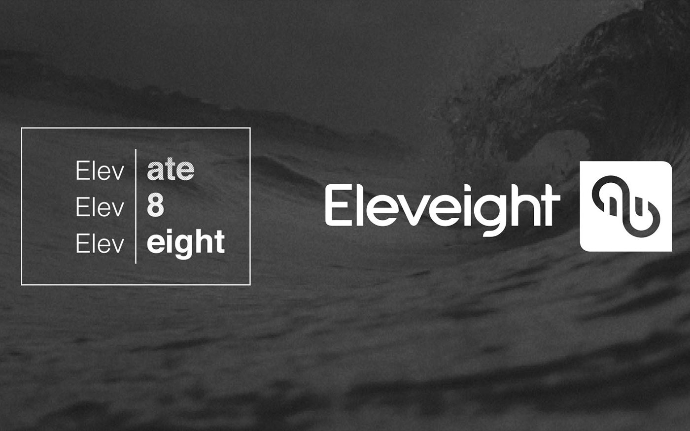Eleveight 2018 Kite Bladders